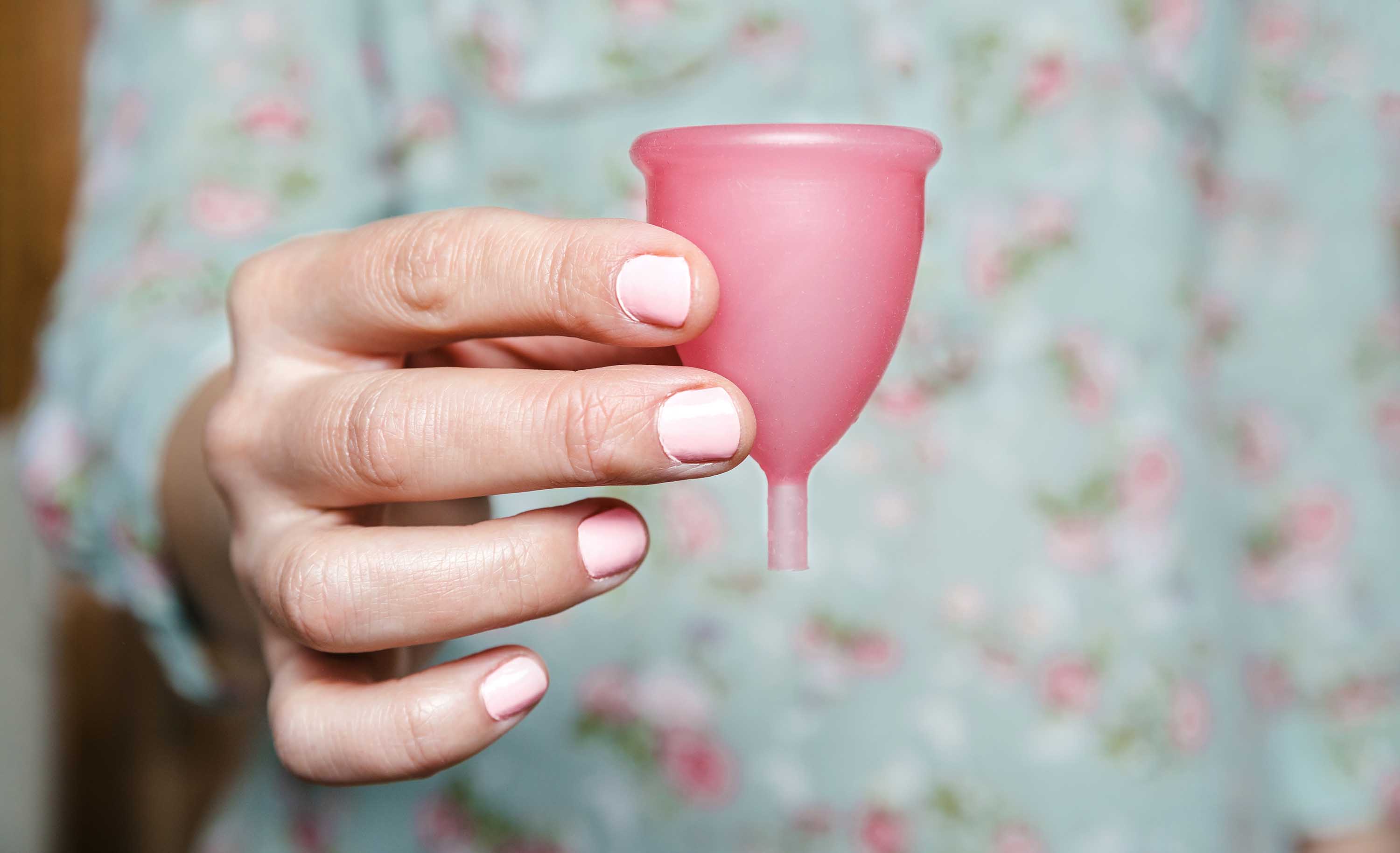 Menstrual where cups find to 5 Best