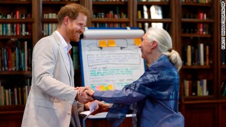 Prince Harry and Jane Goodall re-enact a chimp greeting 