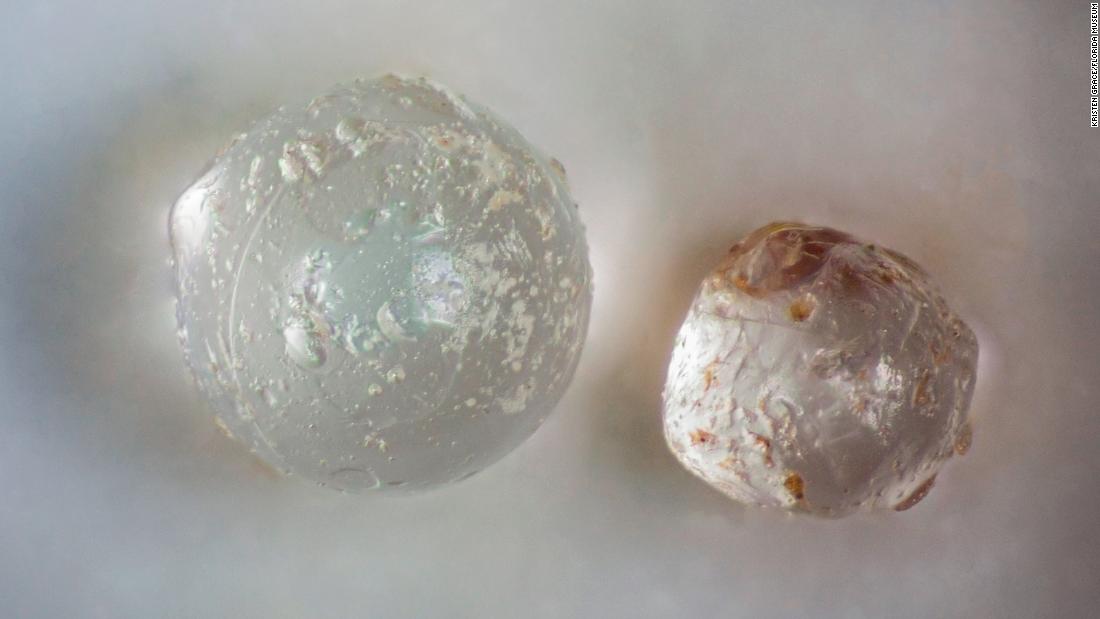 Researchers found 83 tiny glassy spheres inside fossil clams from a Florida quarry. Testing suggests that they are evidence of one or more undocumented meteorite impacts in Florida&#39;s distant past.