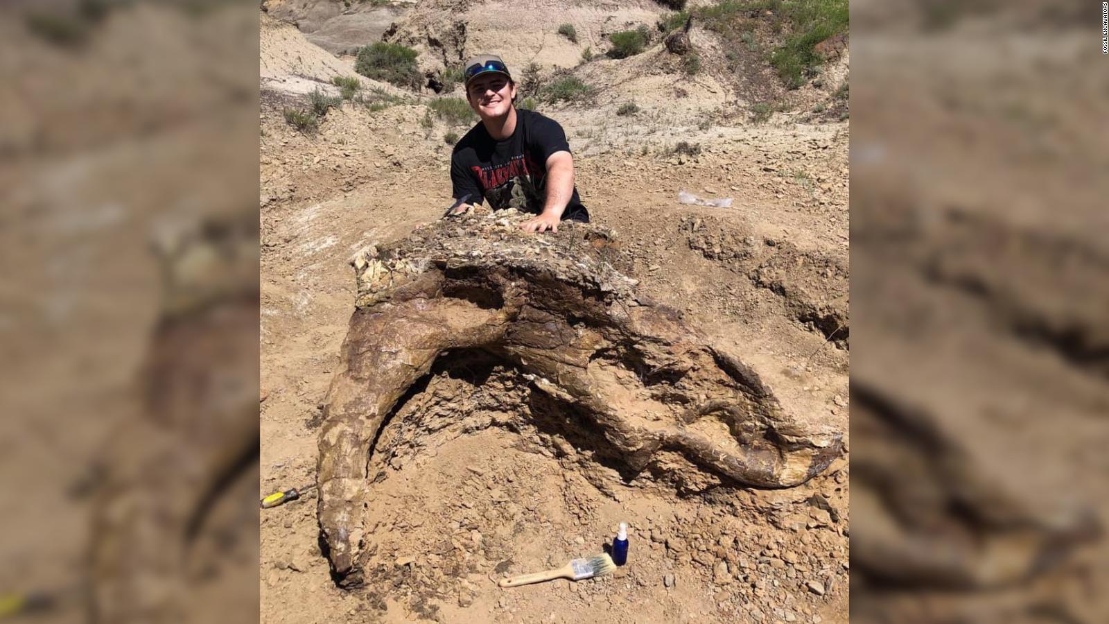 new triceratops discovery