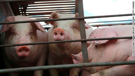 China has a new plan to solve its pork problem   