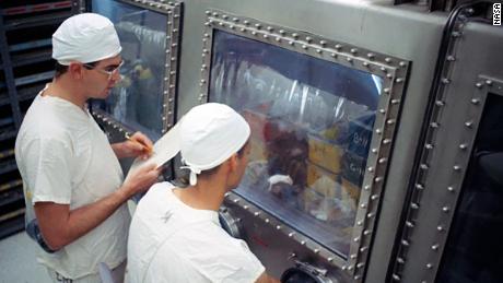 NASA fed some of its precious Apollo 11 lunar samples to cockroaches