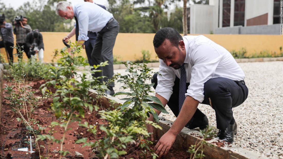 Ethiopia plants more than 350 million trees in 12 hours - CNN