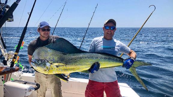 A Maryland Man Just Caught The Biggest Mahi Mahi Ever In The State | CNN