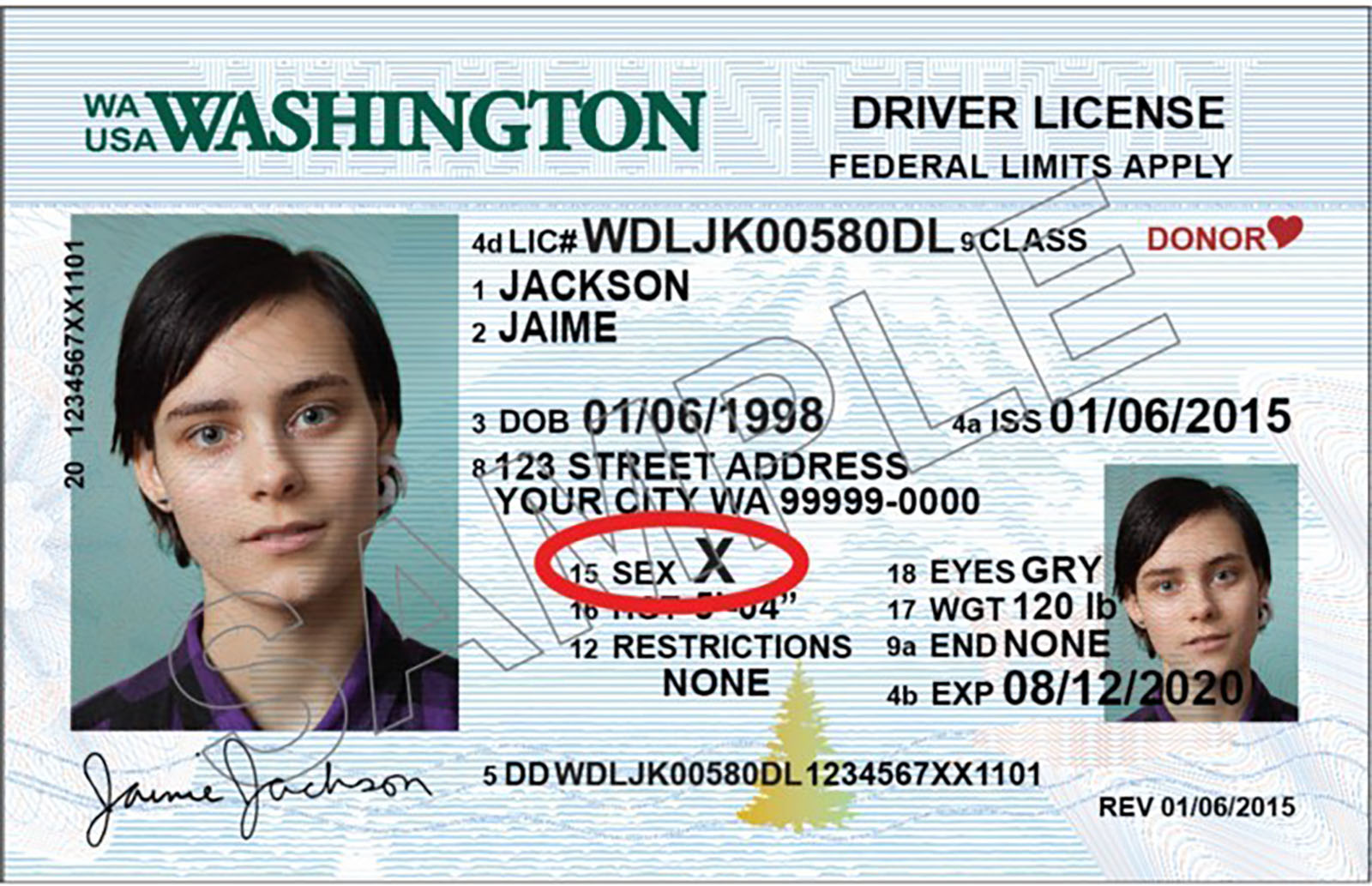 2 more states will offer a 3rd gender option on driver's licenses | CNN