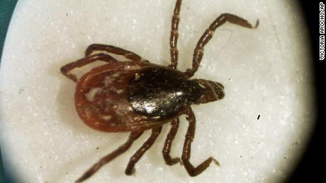 Rare tick-borne virus kills resident of New York