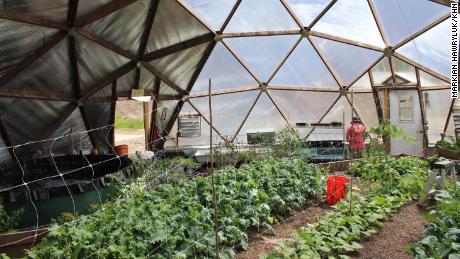 The Cloud City Conservation Center grows vegetables in a pair of greenhouses, and sells the produce through a community-sponsored agricultural program.