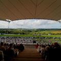 Goodwood view best horse racing