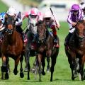 Frankie Dettori riding Too Darn Hot  The Qatar Sussex Stakes 