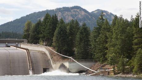 Salmon swim into the tube and shoot out (safely, Vince Bryant says) over the dam.