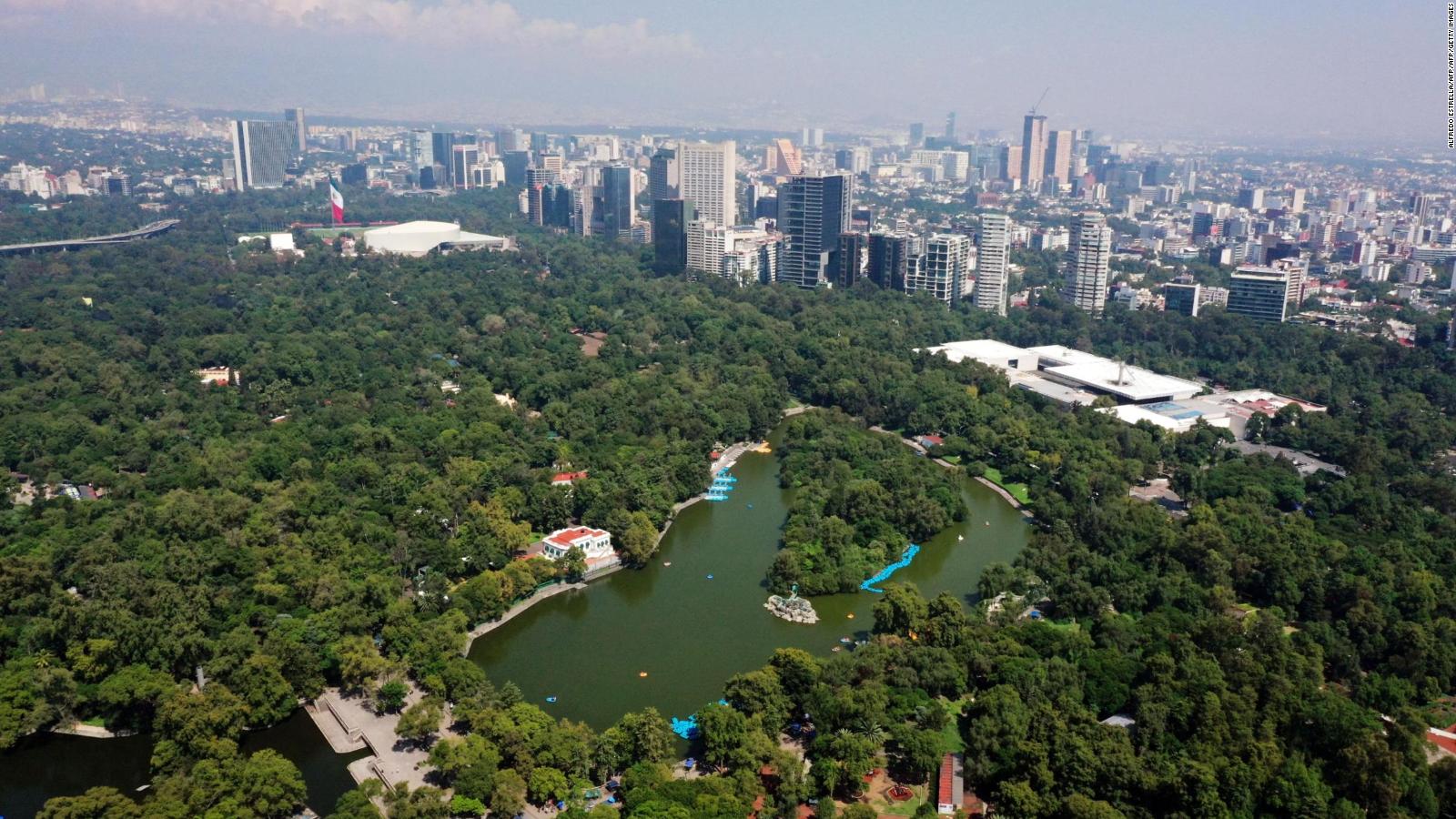 Bosque De Chapultepec Gana El Primer Lugar Del Premio Large Urban Park 