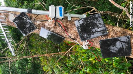 Rainforest Connection&#39;s devices, high in the canopy.