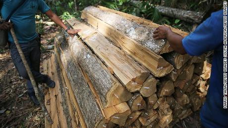 Members of the Ka&#39;apor indigenous tribe inspect illegal logging found on their protected land in Brazil.