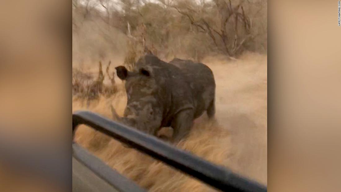 Tourists make narrow escape as rhino charges CNN Video