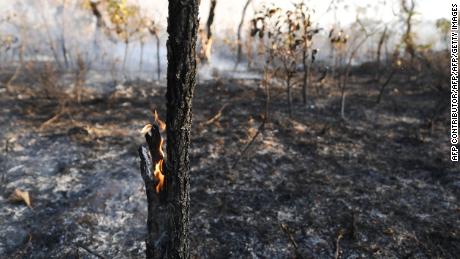 Amazon Rainforest Is Burning At An Unprecedented Rate Cnn Video