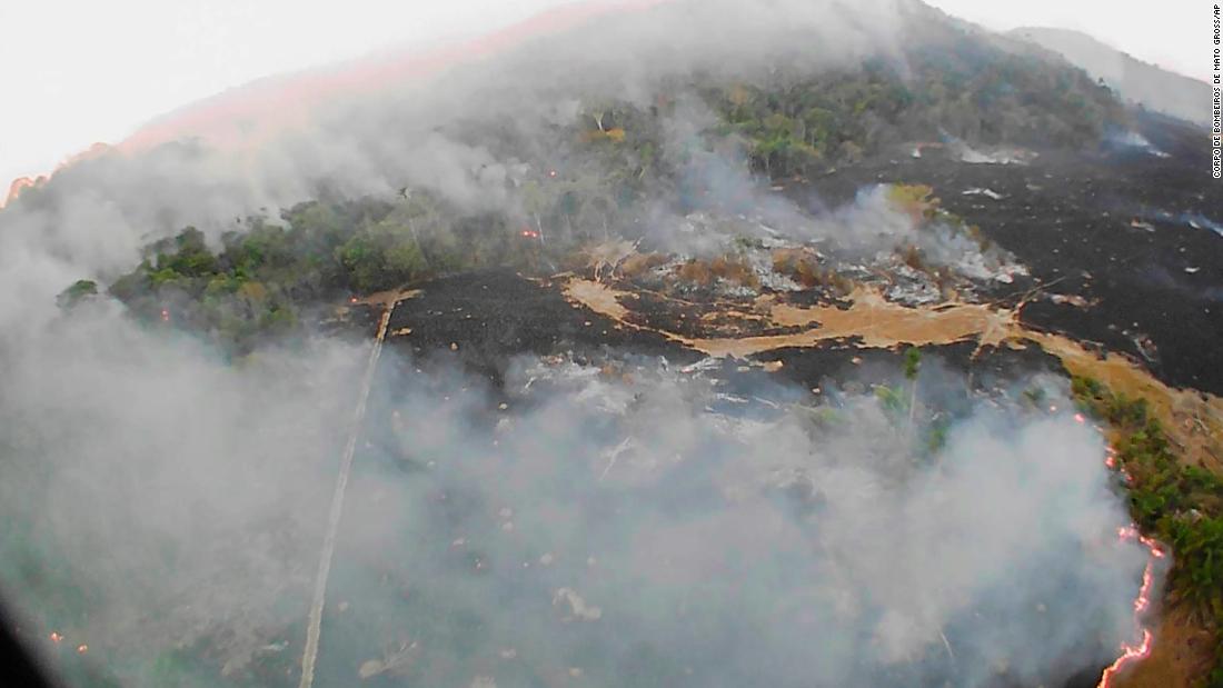 The Amazon rainforest is on fire. Here's what that means for the environment