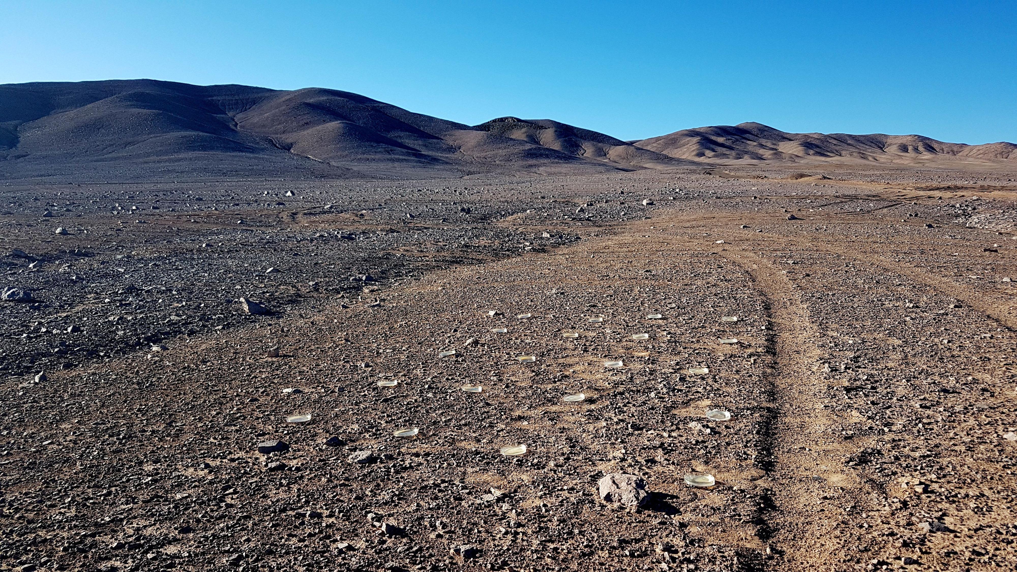 Atacama Desert Offers Clues About Life On Mars Cnn