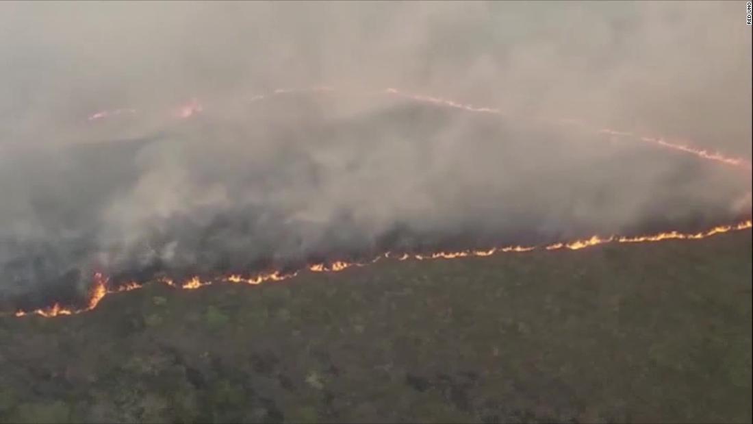 Daño ecológico por incendios en Bolivia tardaría hasta 200 años en