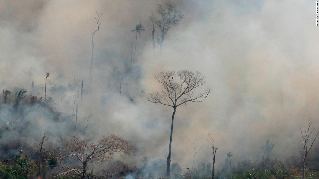 Amazon rainforest fires Here's what we know CNN