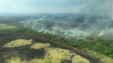 &quot;This is not just a forest that is burning&quot;, said Greenpeace&#39;s Rosana Villar. &quot;This is almost a cemetery. Because all you can see is death.&quot;