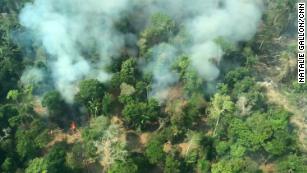 Flying above the Amazon fires, &#39;all you can see is death&#39;