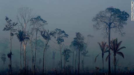 Bolsonaro to deploy troops to fight Amazon rainforest fires