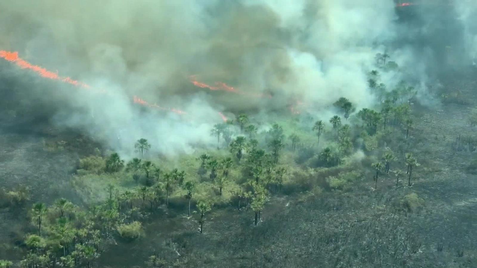 Cnn Sobrevuela Los Incendios En El Amazonas: 