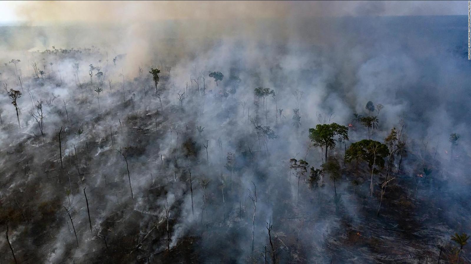 The Amazon is a key buffer against climate change. A new study warns ...