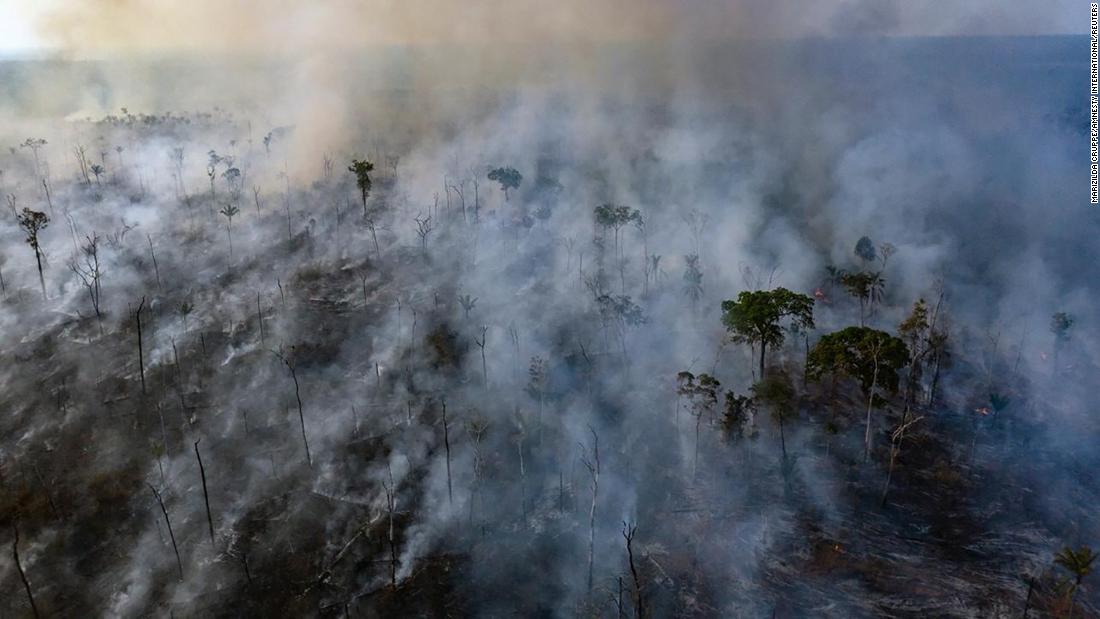 The Amazon is a key buffer against climate change. A new study warns ...