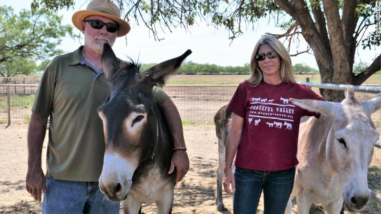 CNN Heroes: Peaceful Valley Donkey Rescue