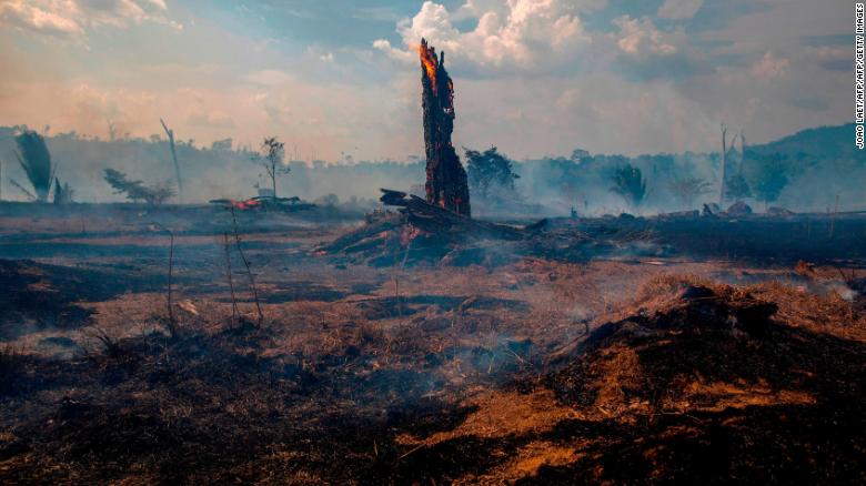 CNN takes you into heart of the Amazon fires