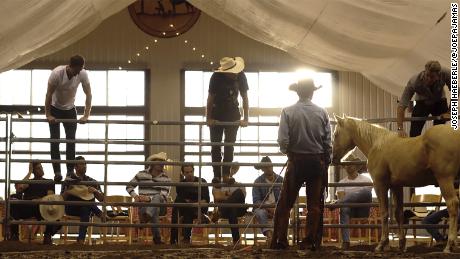 BMW North America executive Albi Pagenstern (far right) is invited to make contact with a wild horse in a demonstration.