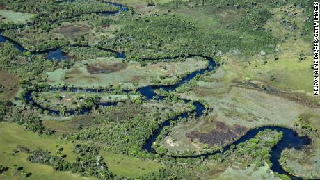 Aerial view taken showing a native Cerrado savanna in Formosa do Rio Preto, western Bahia state.