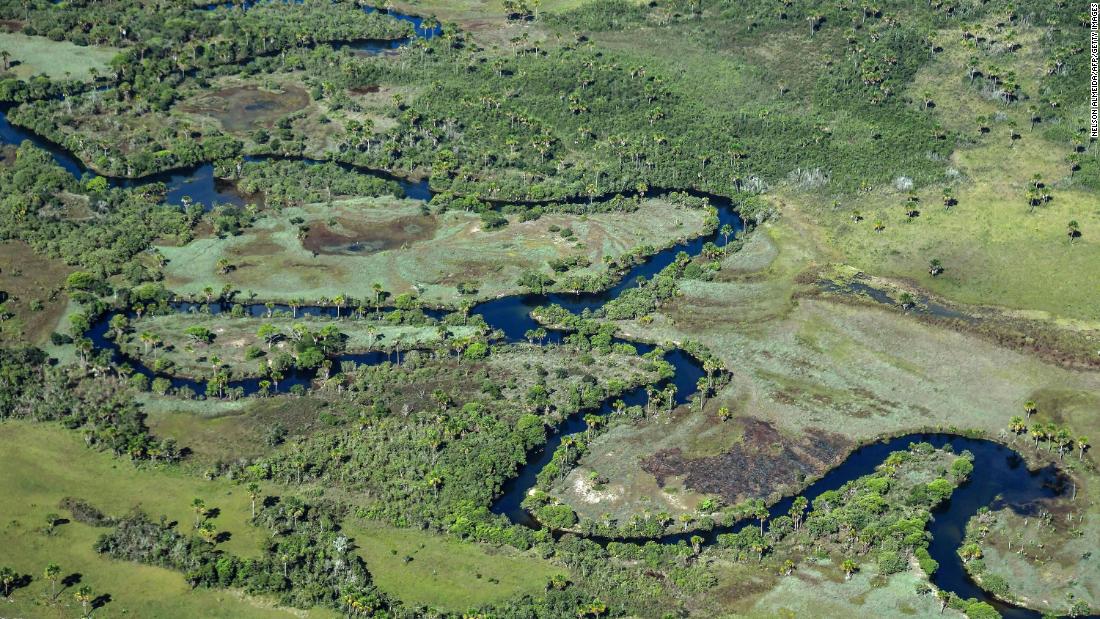 The Amazon burns. But another part of Brazil is being destroyed faster - CNN