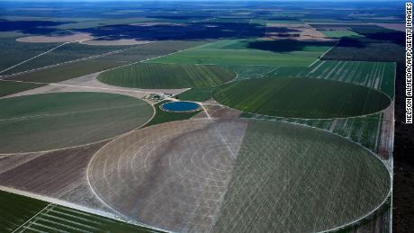 Agriculture fields in Formosa do Rio Preto, western Bahia state. Native vegetation is often cleared for farming and soy crops.