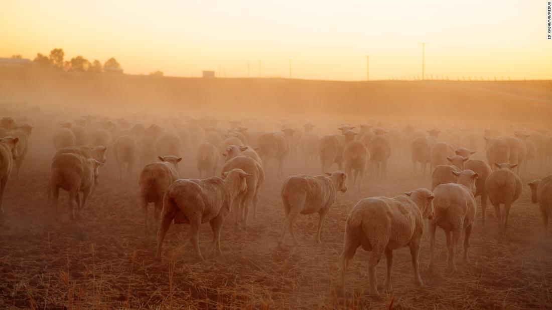 Climate Crisis Could Displace 12 Billion People By 2050 Report Warns