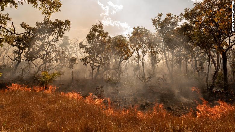 A wildfire burns in Tocantínia, Brazil, in September 2018. In the Cerrado region, wildfires are common for two reasons, said photographer &lt;a href=&quot;http://www.marciopimenta.com/&quot; target=&quot;_blank&quot;&gt;Marcio Pimenta.&lt;/a&gt; One is extreme heat. The other is farmers clearing space for soybeans and livestock.