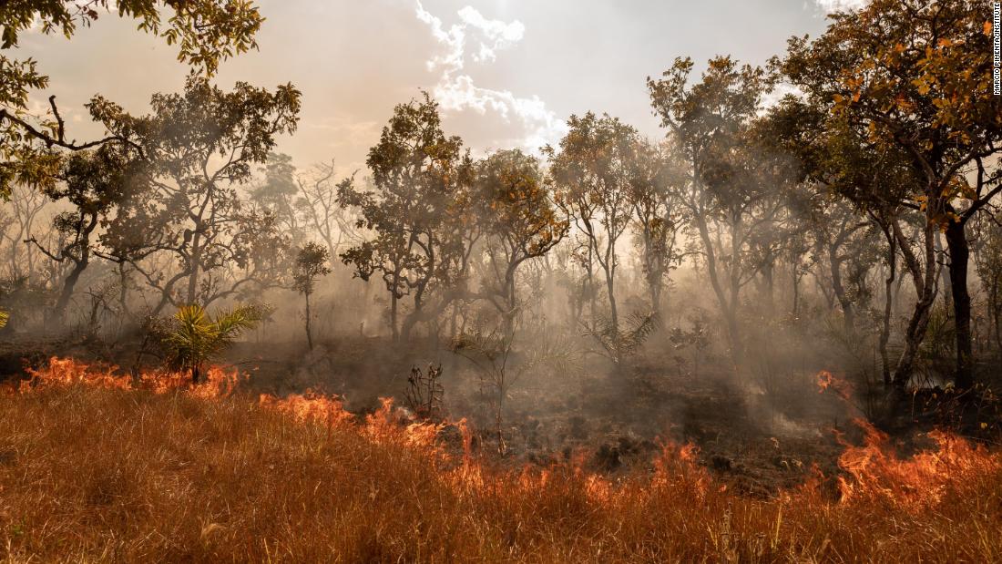 Climate Crisis Could Displace 12 Billion People By 2050 Report Warns