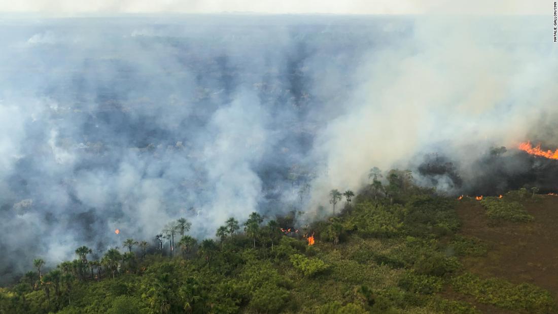 The Brazilian state of RondÃ´nia has had over 6,000 fires burning so far this year, according to Brazil&#39;s National Institute for Space Research (INPE).