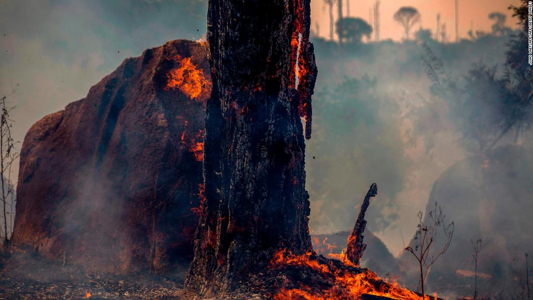 Brasil: Entra En Vigor Decreto Que Prohíbe Los Incendios En La Región ...