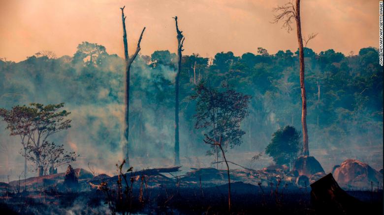 A photo from Brazil in August 2019 shows one of the many fires that scorched the Amazon last year. 