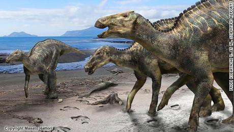 Researchers have found a nearly complete skeleton of a new dinosaur.