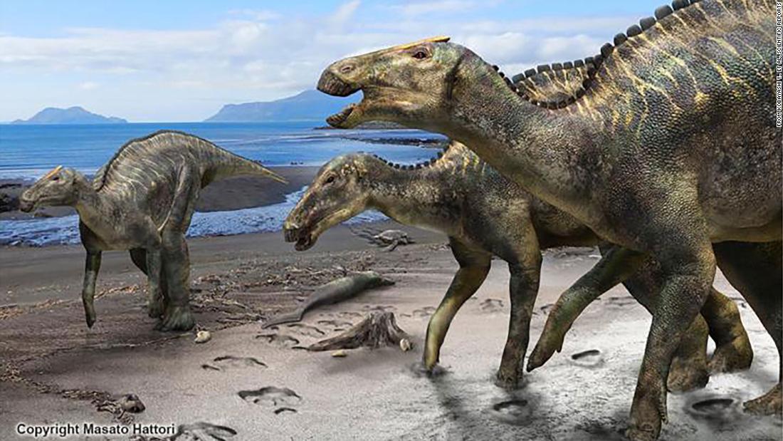 new dinosaurs an alternative evolution