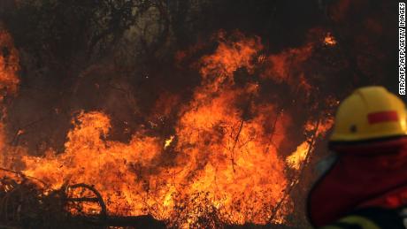 A firefighter works during a wildfire in the Santa Cruz region of eastern Bolivia on August 22, 2019.