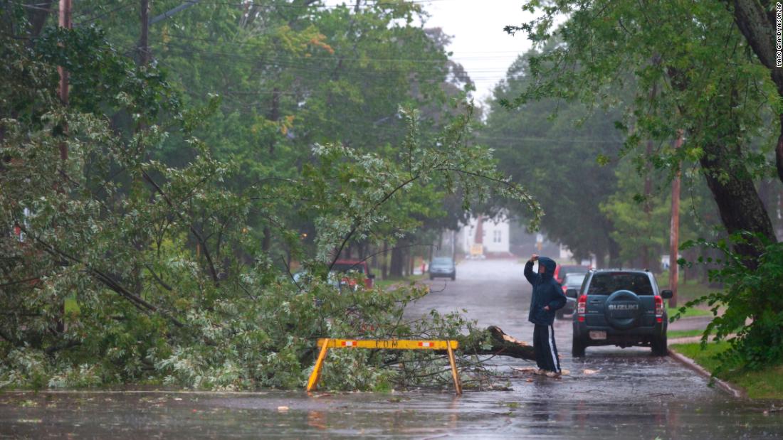 A man looks a tree that fell in Moncton, New Brunswick, on September 7. 