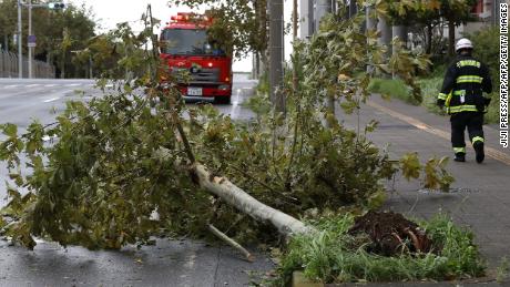 A firefighter walks past a fallen tree caused by Typhoon Faxai in Tokyo on September 9, 2019. 