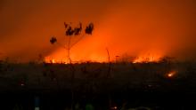 This picture taken on September 9, 2019 shows a forest fire lighting up the night sky in Kampar, Riau. - Huge fires are raging across vast swathes of Indonesia's rainforests -- some of the world's biggest -- with toxic smog shutting hundreds of schools in Southeast Asia, officials said on September 10. (Photo by Wahyudi / AFP)        (Photo credit should read WAHYUDI/AFP/Getty Images)