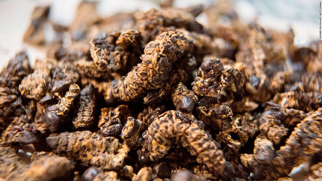 How about snacking on a bowl of toasted mopane worms? While called a worm, the four-inch critter is actually the caterpillar of the emperor moth. As big around as a cigar, the creatures are typically&lt;strong&gt; &lt;/strong&gt;gutted and dried or smoked, which enhances the flavors. Mopane worms are nearly 60% protein, 17% fat and packed full of minerals, making them very healthy to eat.