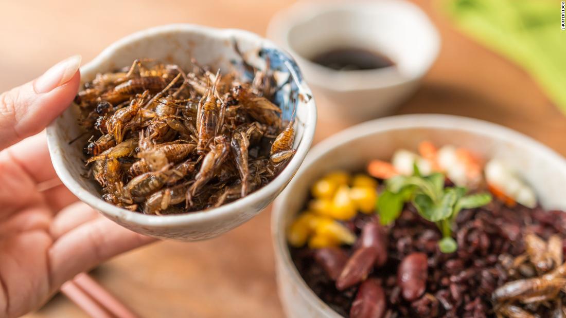 Pan-roasting crickets until they&#39;re crisp and toasty is one way of getting your bug fix. But if you prefer a less obvious snack, try a cricket version of Rice Krispies treats or choco-cricket cookies. You can also easily use cricket powder as the protein in your next smoothie.