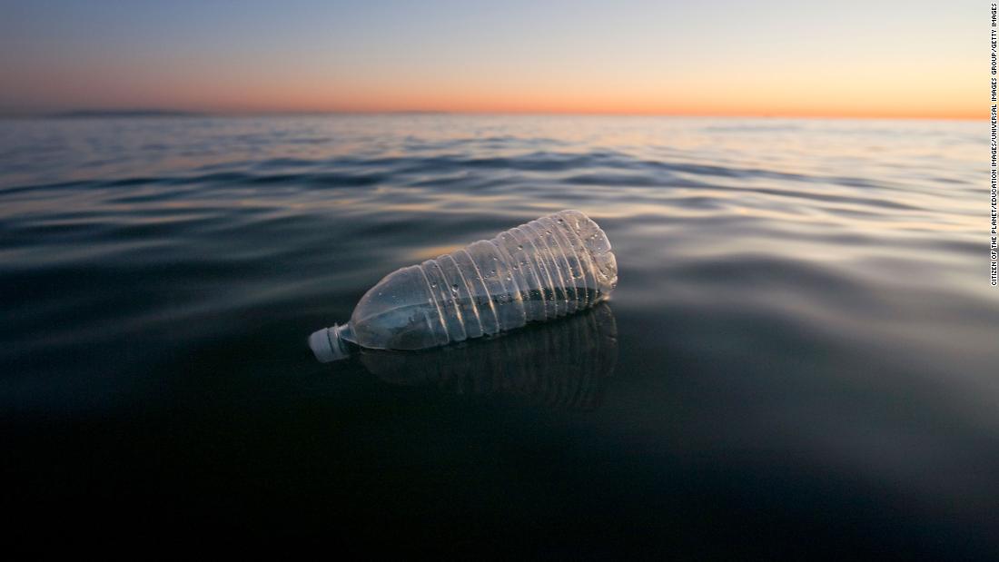 Plastic alternatives could make marine pollution even worse, report finds